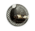 ERA